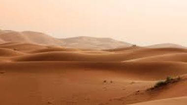 desert-silence