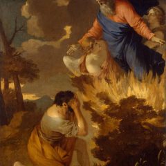 burning-bush