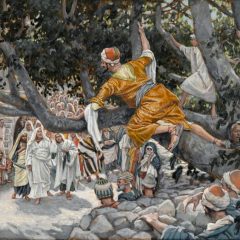 Brooklyn_Museum_-_Zacchaeus_in_the_Sycamore_Awaiting_the_Passage_of_Jesus_James_Tissot