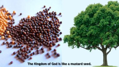 mustard-seeds